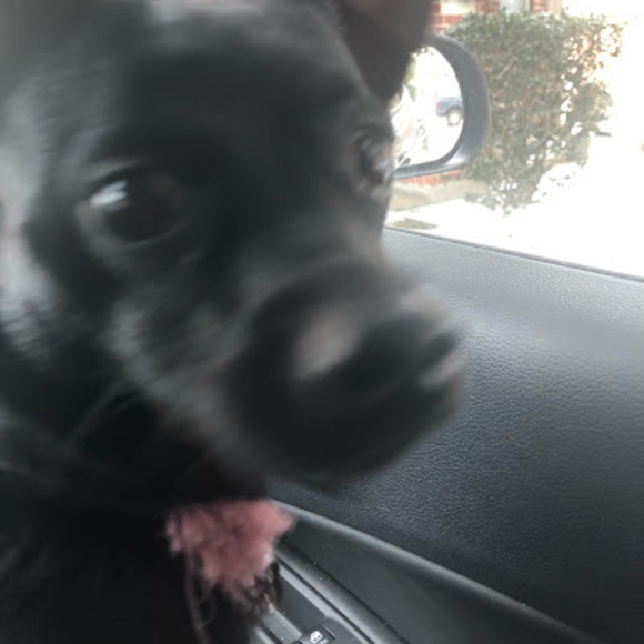 Meet your Posher, Jassy - Picture 1 of 1